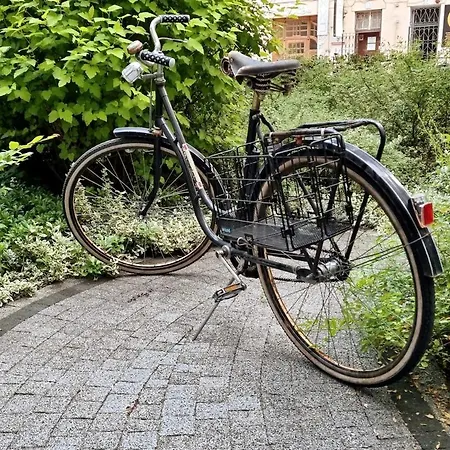 דירה Stylish Premium In Center *