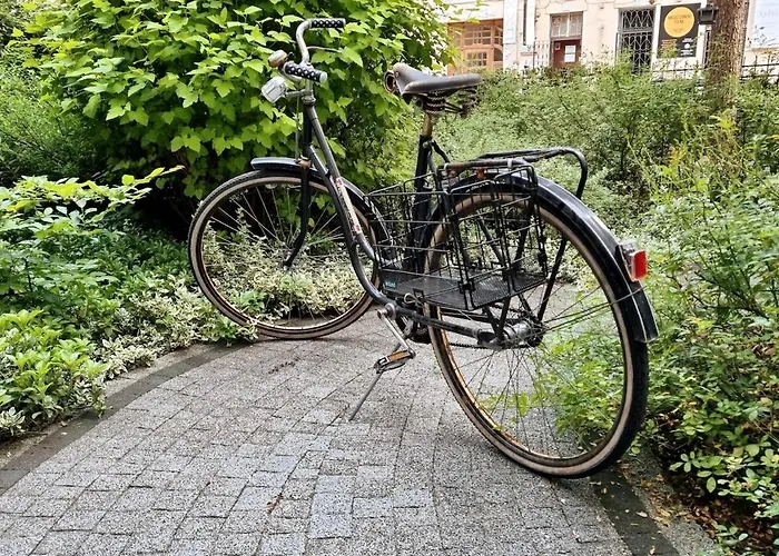 דירה Stylish Premium In Center *